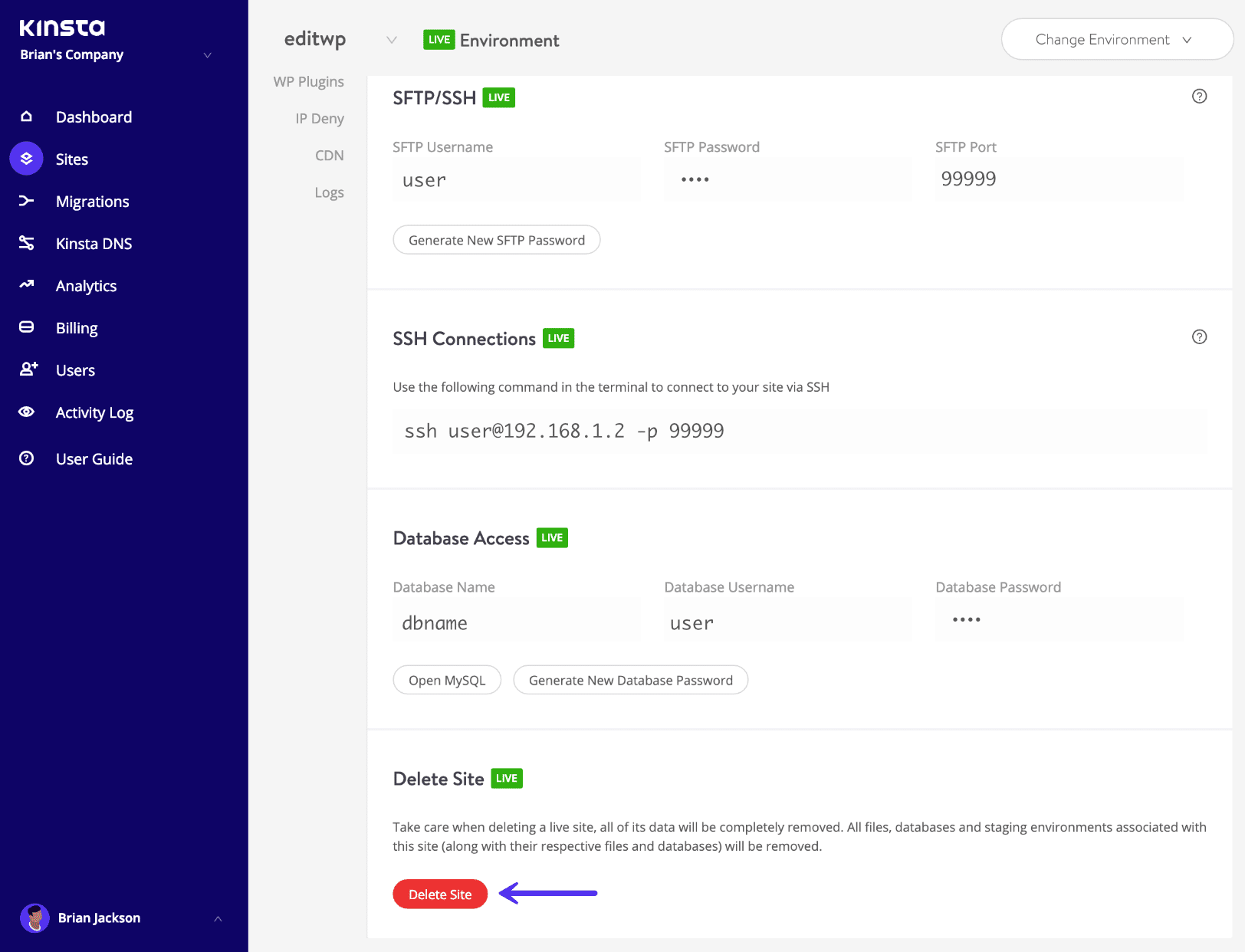 Excluir site WordPress